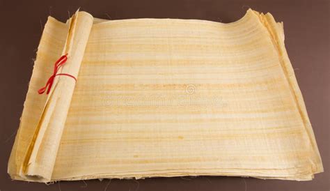 Blank Egyptian Papyrus Stock Image Image Of African