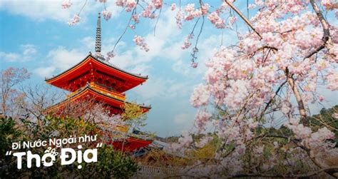 Kinh Nghiệm Đi Ngắm Hoa Anh Đào Ở Kyoto Cập Nhật 2024 - Klook Blog