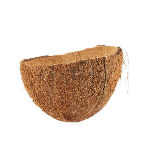 Coconut Fruit Cut In Half Stock Photo Image Of Juice