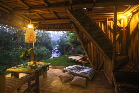 Tree House Interior