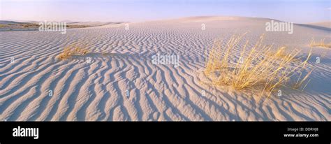 White Sands National Monument New Mexico Usa Stock Photo Alamy