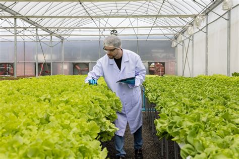 Engenharia De Alimentos Ead - Engenharia de Alimentos – FAM Centro Universitário – Ensino Presencial ...