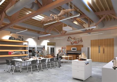 An Addison IL park renovation revealed a very surprising fossil find 14