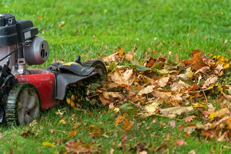 Ways To Prep Your Yard For Fall Ez Pour