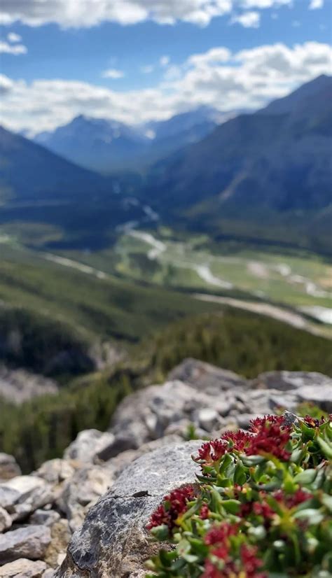 mount baldy kananaskis alberta canada rhiking