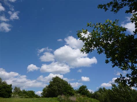 Free Images Landscape Tree Nature Forest Grass Horizon Cloud