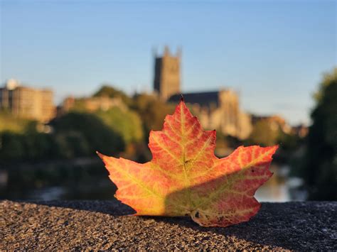 Discover History added a new photo. - Discover History