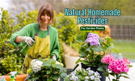 Natural Homemade Pesticides For Garden Plants - Organicbazar