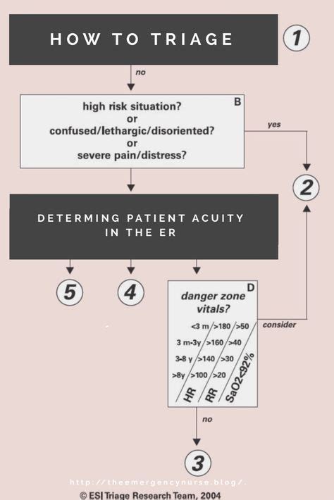 The Fundamentals Of Triaging Patients In The Er Triage Nursing