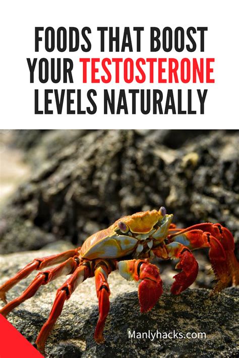 Testosterone Booster Foods List – Idalias Salon