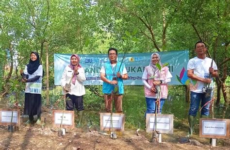 PLN Nusantara Power Gresik Tanam 10 000 Bibit Mangrove Afederasi