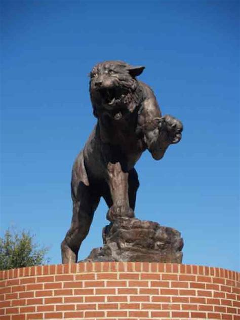 Wildcat Statue Bronze Mascot Monument Statue