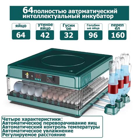 Инкубатор для яиц с термостатом, гигрометром и встроенным овоскопом, в ...