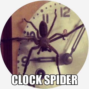 Clock Spider Meme | Bruin Blog