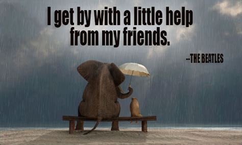 Elephant Friendship Quotes Quotesgram