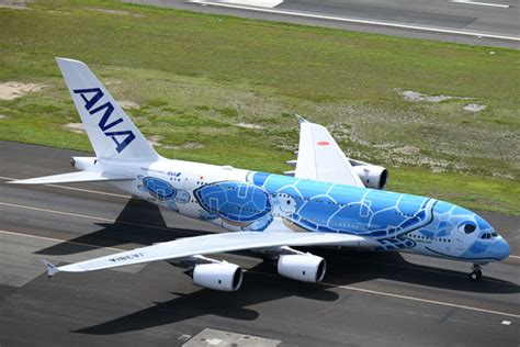 Ana、「flying Honu」の運航再開 お盆にホノルル2往復 Traicy（トライシー）