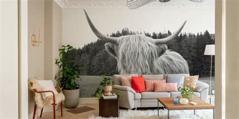 Highland Cow 6 Wallpaper - Buy Online at Happywall