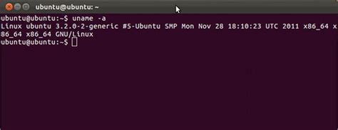 Ubuntu 12 04 LTS Precise Pangolin Primera Toma De Contacto Y