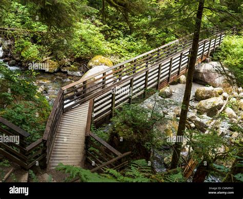 Wooden Bridge Crossing Over Small Stream Into Deep Woods Stock Photo