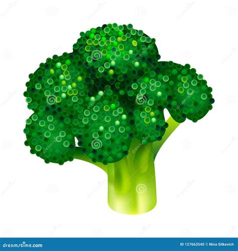 Garden Broccoli Icon Isometric Style Stock Vector Illustration Of