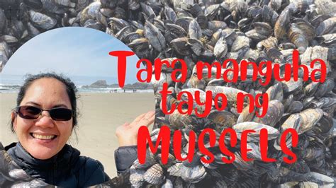 HARVESTING OREGON COAST MUSSELS YouTube