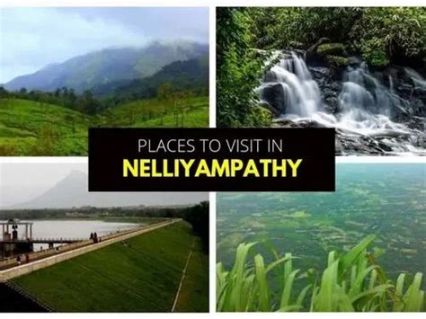 Nelliyampathy Tour Packages at ₹ 2500/pack in Coimbatore | ID: 23981879630