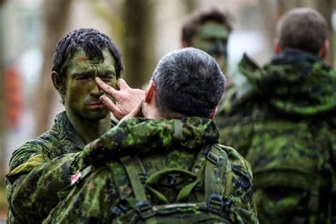 Just a drill: Canadian Army to train in Prince Edward County - Kingston ...