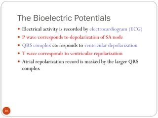 Sources Of Bioelectric Potentials Ppt