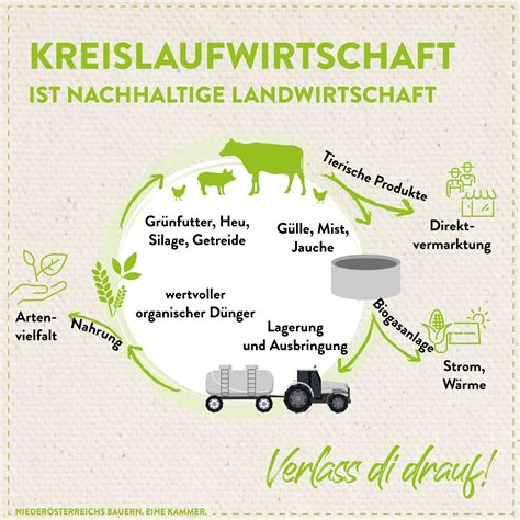 Kreislaufwirtschaft Landwirtschaft Verstehen