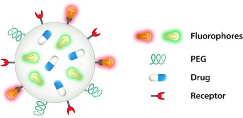 Multifunctional Nanoparticle Receptor Units Recognize The Proper