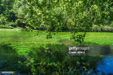 65 Fontaine De Vaucluse (Spring) Stock Photos, High-Res Pictures, and ...