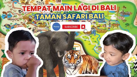 Taman Safari Bali Main Lagi Sama Gajah Dan Tiger Di Kebun Binatang