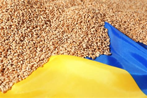 Ucraina introduce prețuri minime pentru exporturile de produse agricole