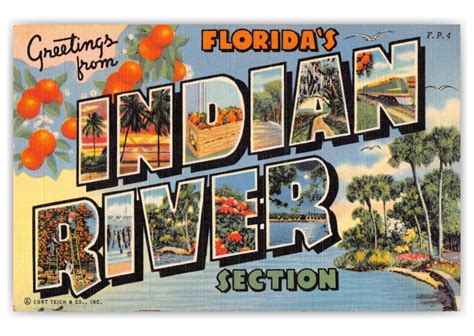 Indian River, Florida, Greetings from | Vintage & Antique Postcards 🗺 📷 ...