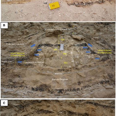 A Carbonate Concretion Type I Carb In The Qatrana Roadcut Al Hisa