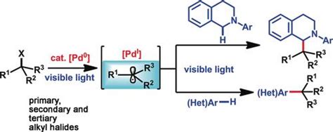 Visible Light Driven Palladium Catalyzed Radical Alkylation Of CH