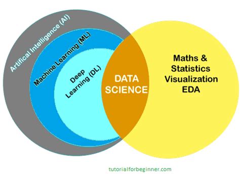 The Differences Between Data Science Artificial Intelligence Machine