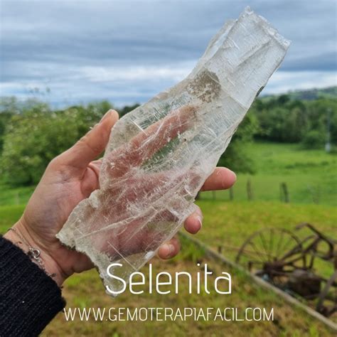 Selenita Bruto Modelo Gemoterapia F Cil Tienda De Minerales Online