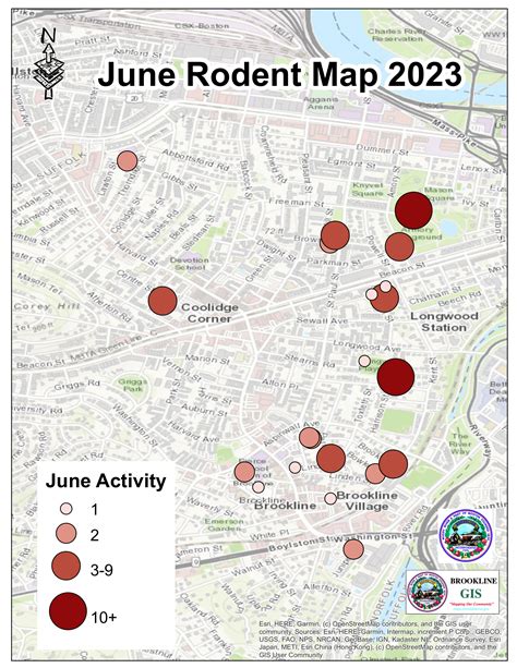 Rodent Resources Brookline Ma Official Website