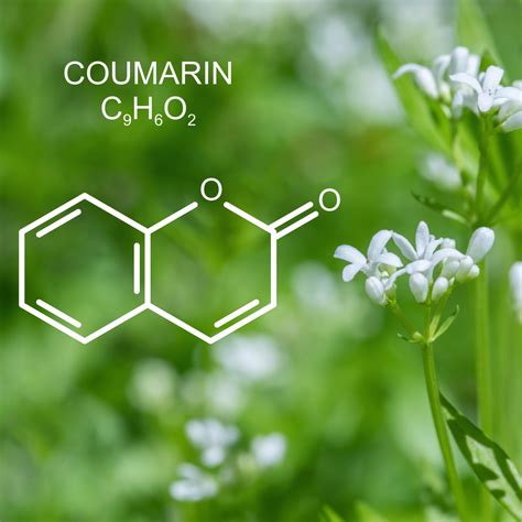 Coumarin - ECSA Chemicals