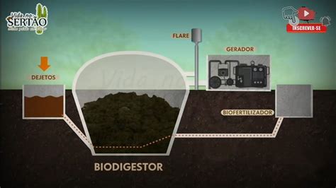 COMO FUNCIONA UM BIODIGESTOR YouTube