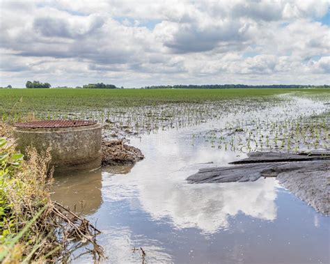 Chuvas Fortes E Tempestades Causam Inunda Es No Campo E Eros O Do Solo