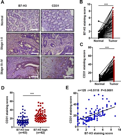 B H Promotes Colorectal Cancer Angiogenesis Through Activating The Nf