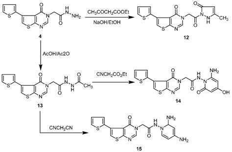 Scheme 3 Synthetic Route For Compounds 12 15 Download Scientific