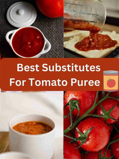 Best Tomato Puree Substitutes Must Try Simple Substitute Veg Buffet