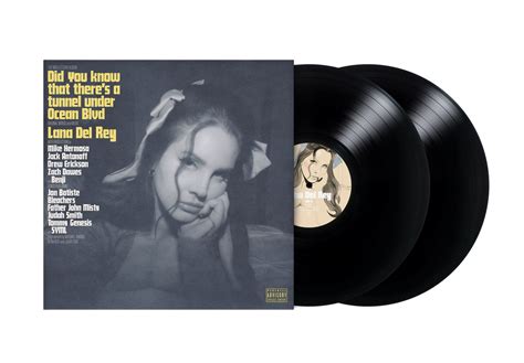 Lana del rey - Did you know that there’s a tunnel under ocean blvd standard vinyl | UMG Africa