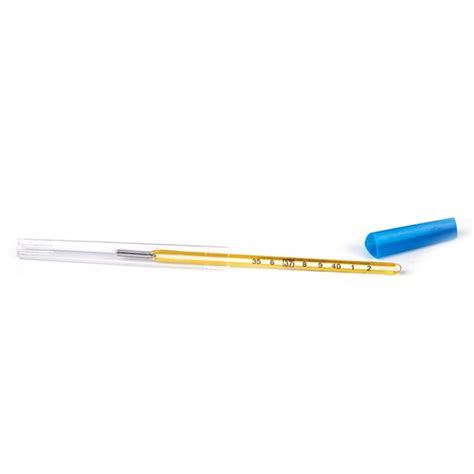 Mercury Thermometer - Cheapthings