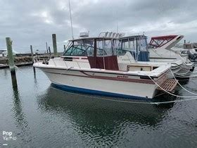 pro    sale daily boats