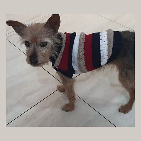 Introduzir Imagem Roupas Para Cachorro Pequeno Br Thptnganamst Edu Vn