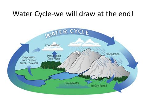 Water Cycle Drawing at GetDrawings | Free download